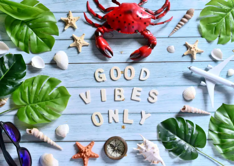 Decorative sign board featuring the phrase 'GOOD VIBES ONLY' in the center, surrounded by light blue horizontal planks, a red crab, green leaves, a diving mask, starfish shells, and a white airplane, creating a cheerful beach vibe.