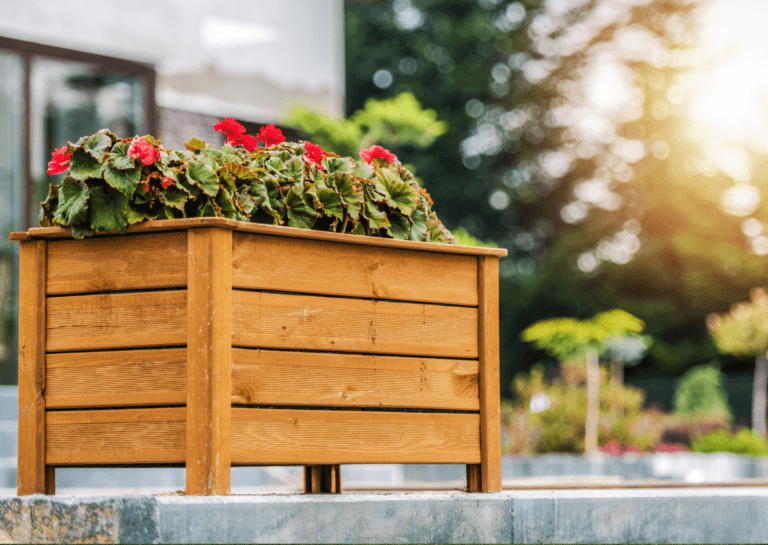 Light brown wooden planter filled with red flowers, with sunlight filtering through pine trees and a house facade in the background.