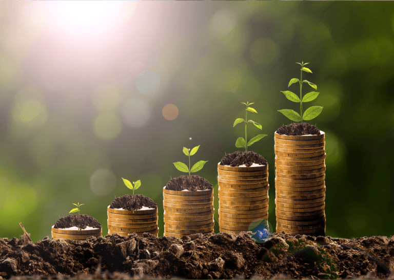 Row of five freshly sprouted plants arranged from small to large, with a lush green backdrop and sunlight filtering through.