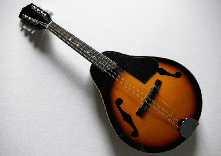 Brown and black mandolin musical instrument displayed against a light background.