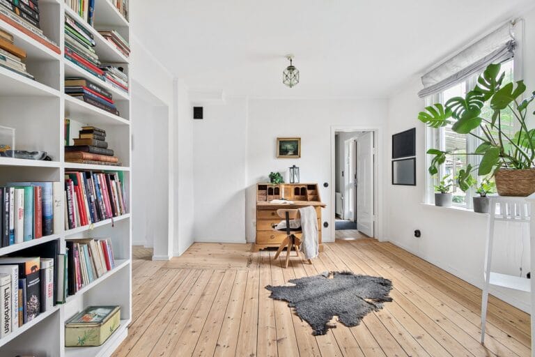 Bookshelves in a home filled with abundant natural light, showcasing a variety of books and decorative items.