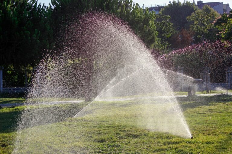 Water sprinklers spraying water on lush green grass in an outdoor city park.