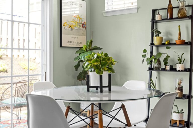 Plant on a round table in a dining room, adding a touch of greenery to the space.