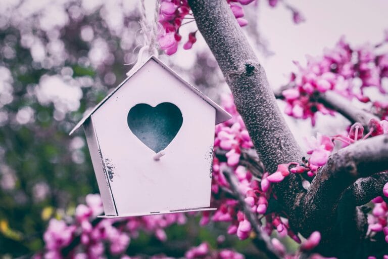 White wooden birdhouse hanging among pink flowering blossoms.